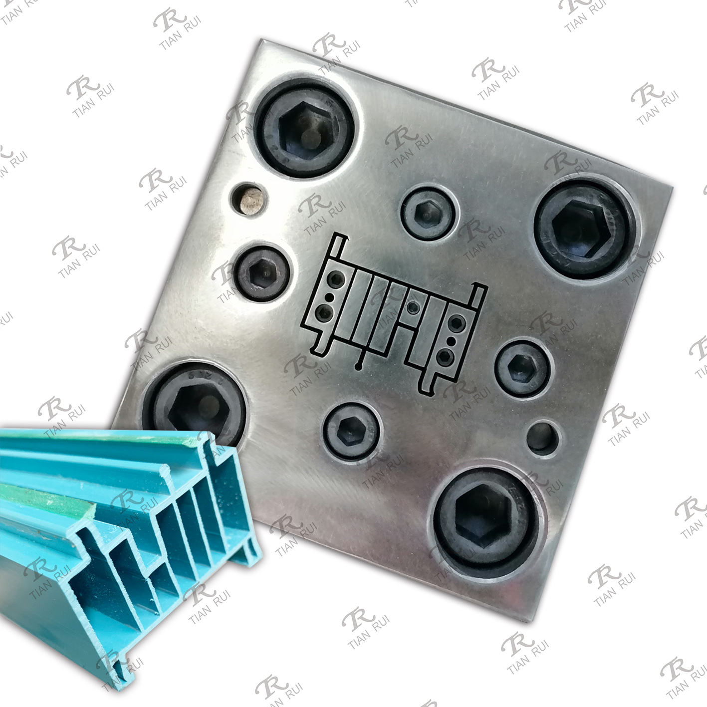 Selected mould photograph